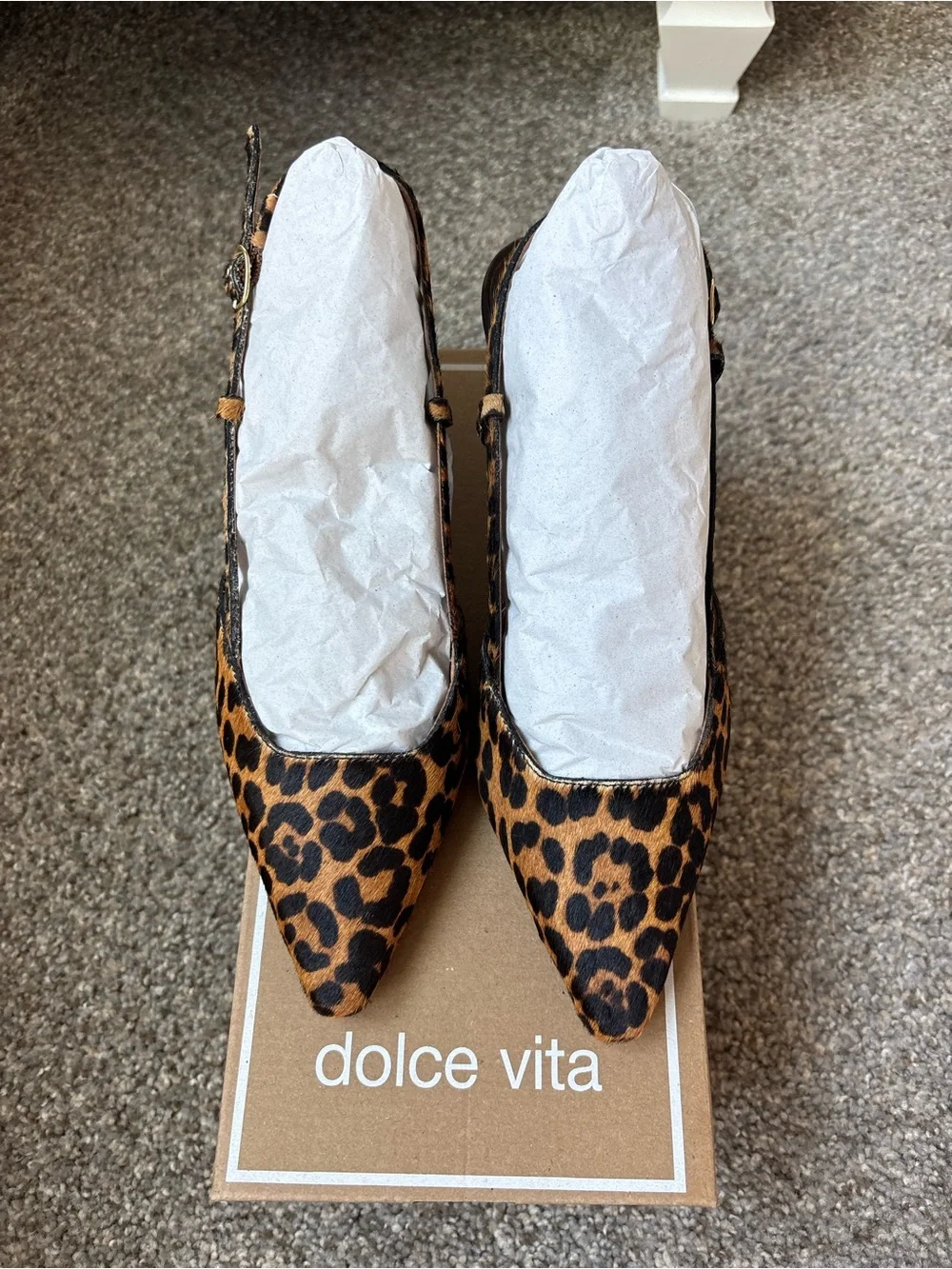 Dolce Vita Leopard Print Slingback Pumps